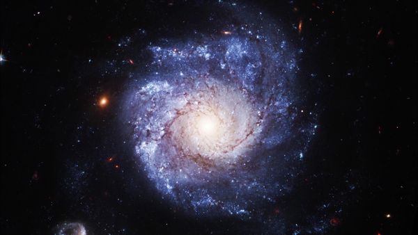 Hubble's Canvas - Grand Design