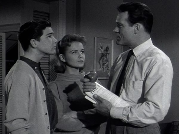 The Donna Reed Show - The New Office