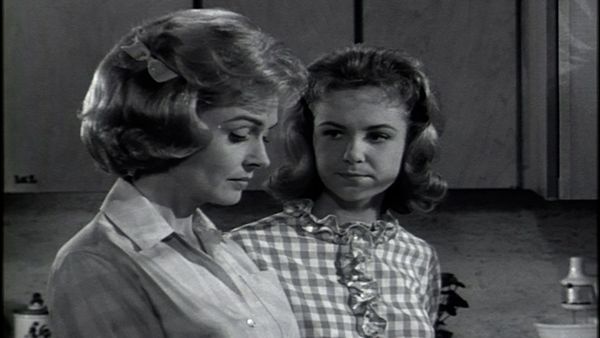 The Donna Reed Show - Mr. Nice Guy