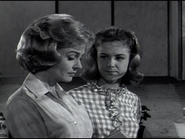 The Donna Reed Show - Mr. Nice Guy