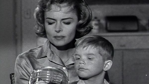 The Donna Reed Show - Man of Action