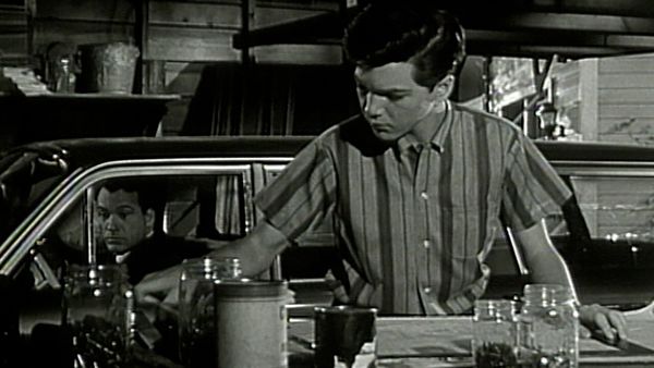 The Donna Reed Show - To Be a Boy