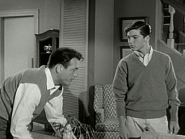 The Donna Reed Show - Fine Feathers