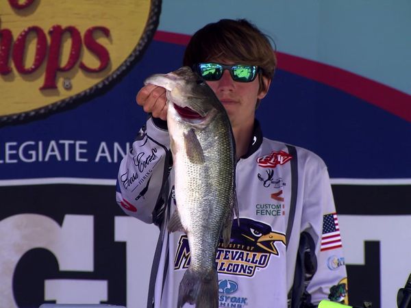Americana Outdoors - Collegiate Bass Championship and the Rolling Plains Quail Research Foundation