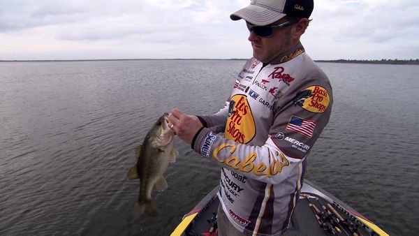 Americana Outdoors - Bass Fishing Tips and Tricks