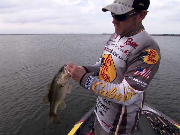 Americana Outdoors - Bass Fishing Tips and Tricks