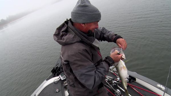 Fisherman's Handbook - Generating a Gameplan for Fishing Adventures