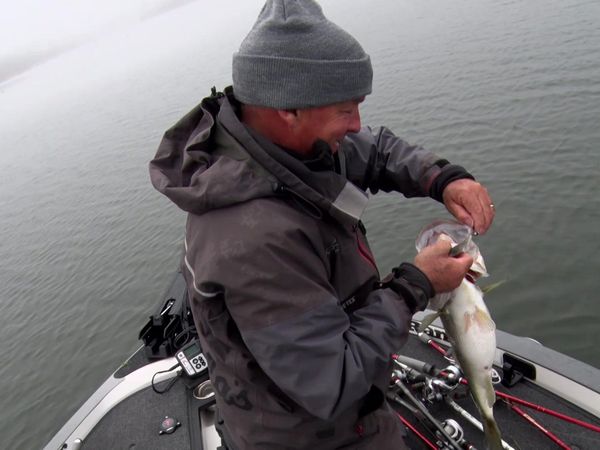 Fisherman's Handbook - Generating a Gameplan for Fishing Adventures
