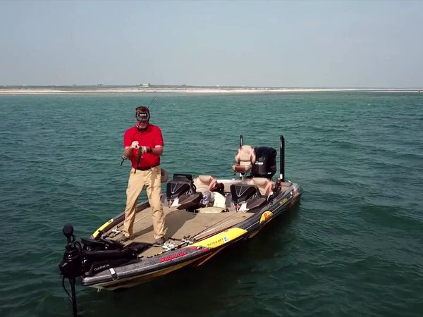 Fisherman's Handbook - Uncovering New Bass Fishing Techniques