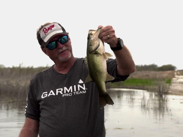 Fisherman's Handbook - Locating Bites During the Spawn