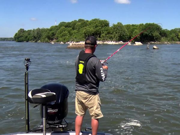 Fisherman's Handbook - Alabama Bass Fishing