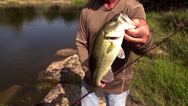 Fisherman's Handbook - Fishing Adventures