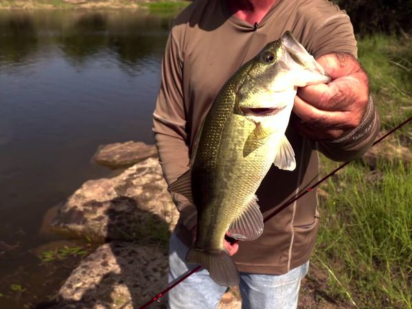 Fisherman's Handbook - Fishing Adventures