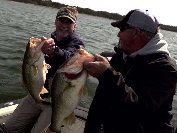 Fisherman's Handbook - Inside our Tackle Box with SPRO