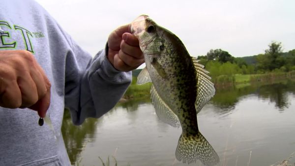 Fisherman's Handbook - Inside our Tackle Box with SPRO