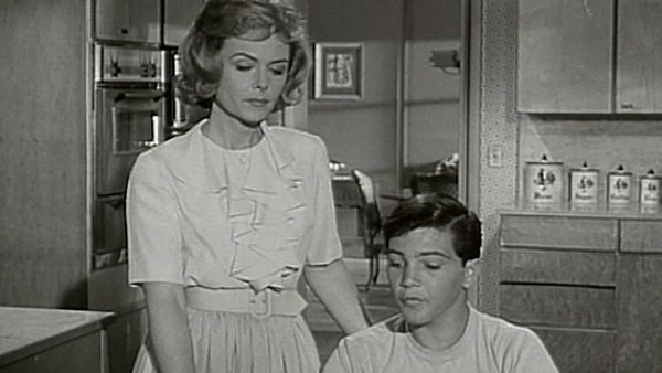 The Donna Reed Show - Jeff Stands Alone