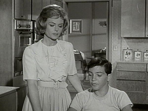 The Donna Reed Show - Jeff Stands Alone