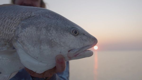 Sport Fishing TV - Southern Brotherhood