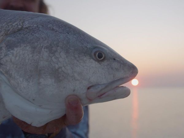 Sport Fishing TV - Southern Brotherhood