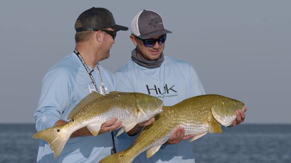 Sport Fishing TV - Garden in the Gulf