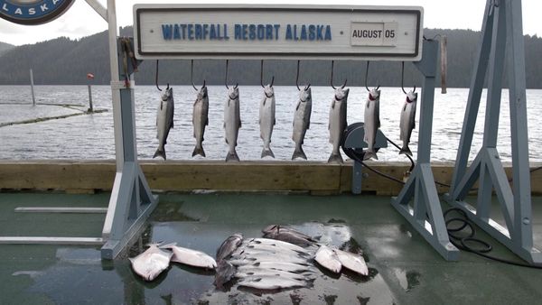 Sport Fishing TV - Old Water