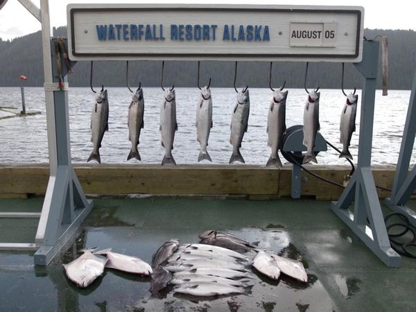Sport Fishing TV - Old Water
