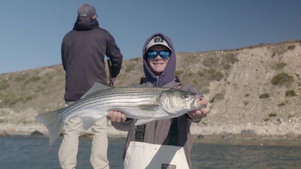 Sport Fishing TV - Stars & Stripers