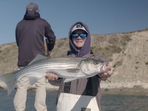 Sport Fishing TV - Stars & Stripers