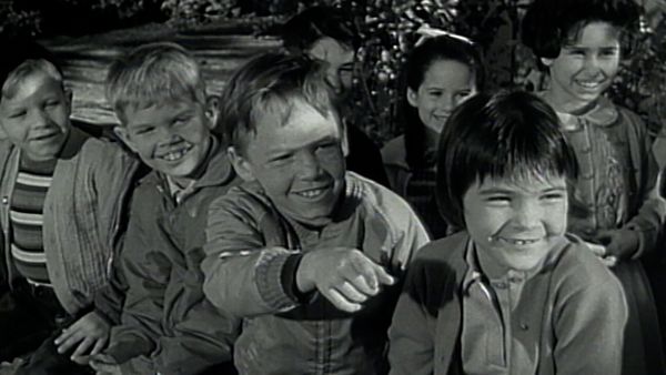 The Donna Reed Show - The Handy Man