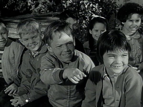 The Donna Reed Show - The Handy Man
