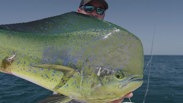Sport Fishing TV - Tropic Stars