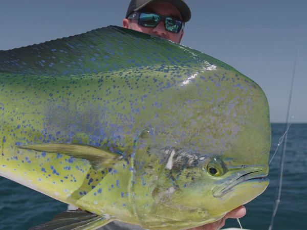Sport Fishing TV - Tropic Stars