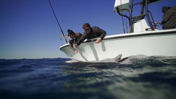 Sport Fishing TV - All Seasons