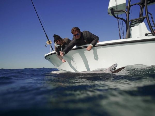 Sport Fishing TV - All Seasons