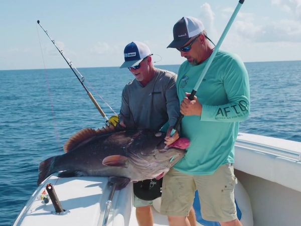 Sportsman's Adventures - Surfside Sea Monsters