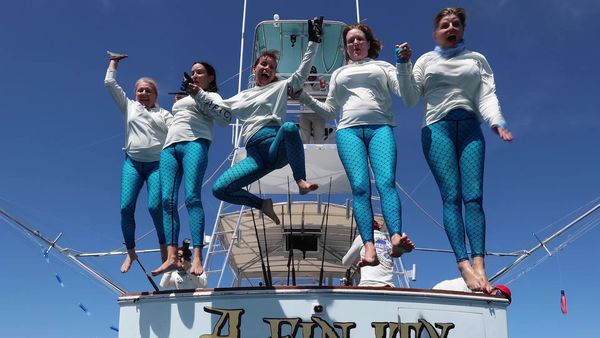 Sportsman's Adventures - No Sancocho Sailfish Shootout
