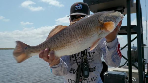 The Elite Fishing League - Road to the Tidewater Tour Championship Preview Show