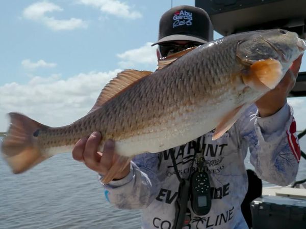 The Elite Fishing League - Road to the Tidewater Tour Championship Preview Show