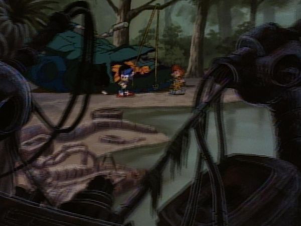 Sonic el erizo - El jugador