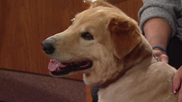 Judge Judy - Episode 80