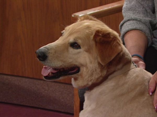 Judge Judy - Episode 80