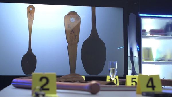 Crime Scene Solvers - A Fatal Student Night (Stéphane Kameugne Case)