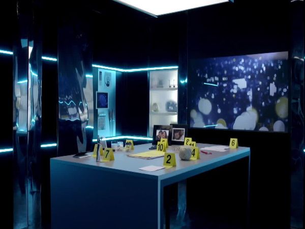 Crime Scene Solvers - The Adeline Piet Case