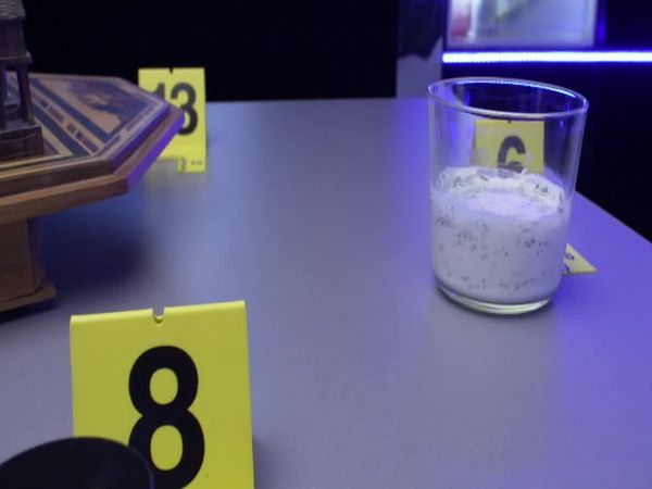 Crime Scene Solvers - The Pierre and Gabrielle Labrell Case