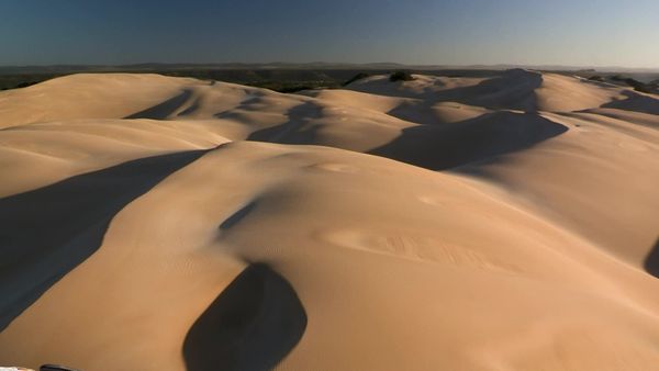 Siyaya: bienvenidos a la naturaleza - En búsqueda de los "siete grandes" Parte 4: Cazadores de lo profundo