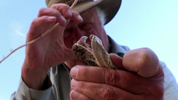 Siyaya: bienvenidos a la naturaleza - Al final del río - Parque transfronterizo "Richtersveld"