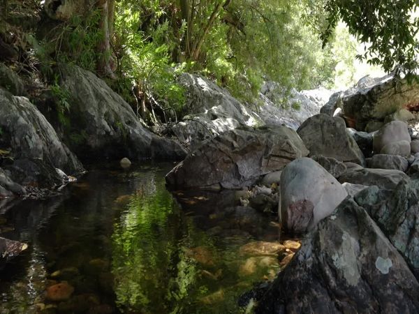 Siyaya: bienvenidos a la naturaleza - Reserva natural "Hottentots Holland" - "On angel's wings"