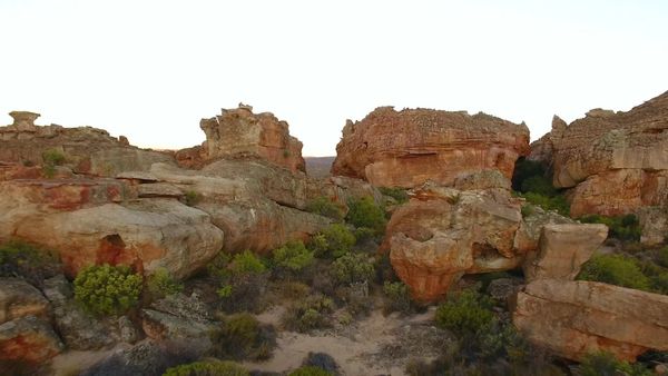 Siyaya: bienvenidos a la naturaleza - Cederberg - La biblioteca secreta
