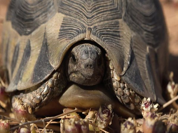 Siyaya: bienvenidos a la naturaleza - Costa oeste - Rumbo a "Bird island"