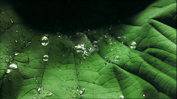 Tecnología natural - Magia del movimiento